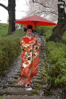 Yamagata Maiko